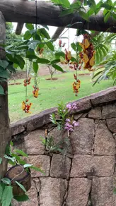 Imagem 6 - Casa Condomínio em Jardim do Ribeirão I, Itupeva - SP
