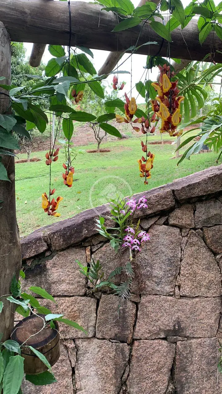 Imagem 6 - Casa Condomínio em Jardim do Ribeirão I, Itupeva - SP