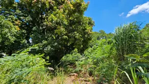Imagem 6 - Terreno em Santa Cândida, Vinhedo - SP