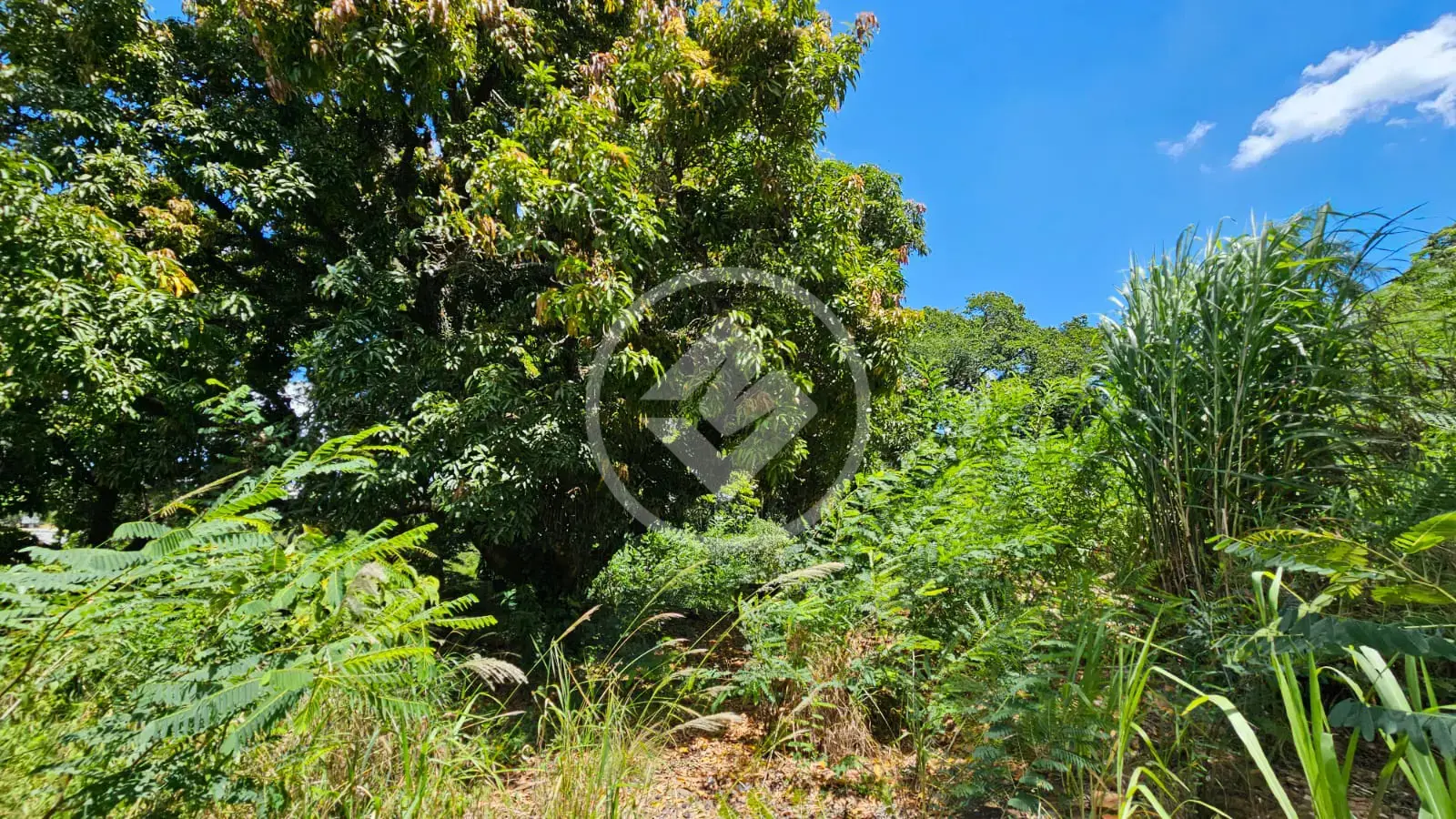 Imagem 6 - Terreno em Santa Cândida, Vinhedo - SP