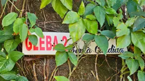 Imagem 5 - Terreno em Santa Cândida, Vinhedo - SP