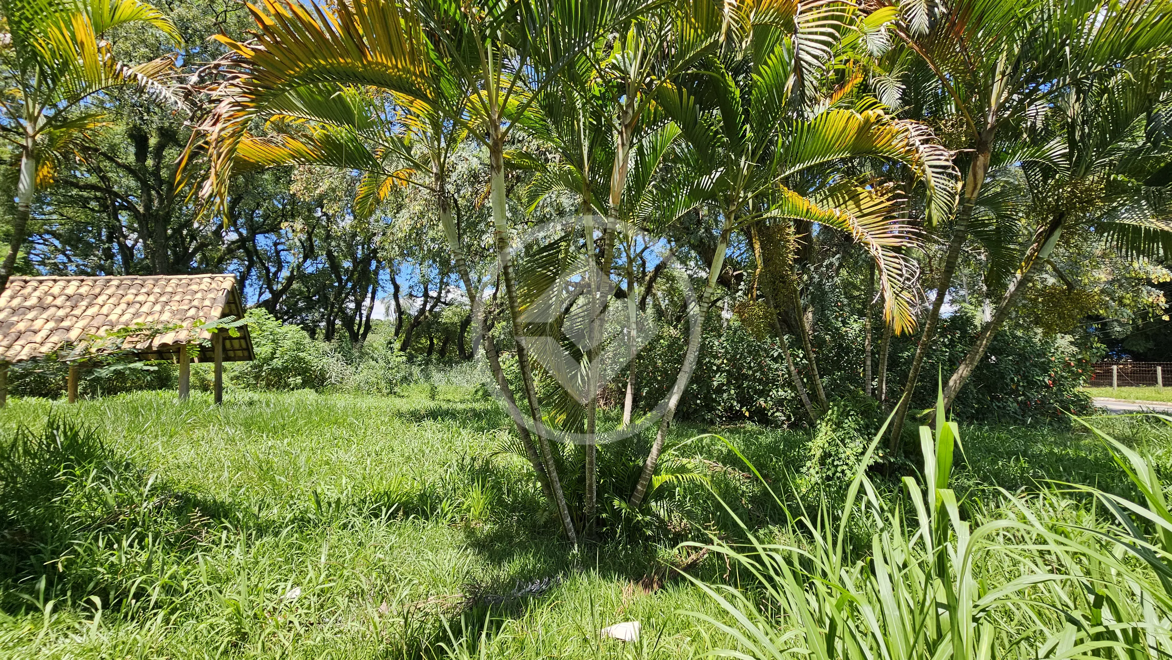 Imagem 2 - Terreno em Santa Cândida, Vinhedo - SP