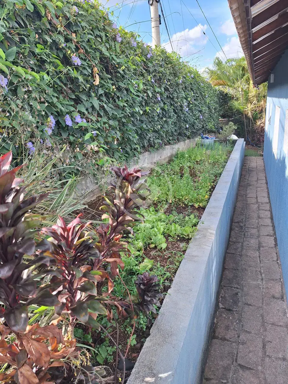 Imagem 6 - Casa Condomínio em Jardim do Ribeirão I, Itupeva - SP