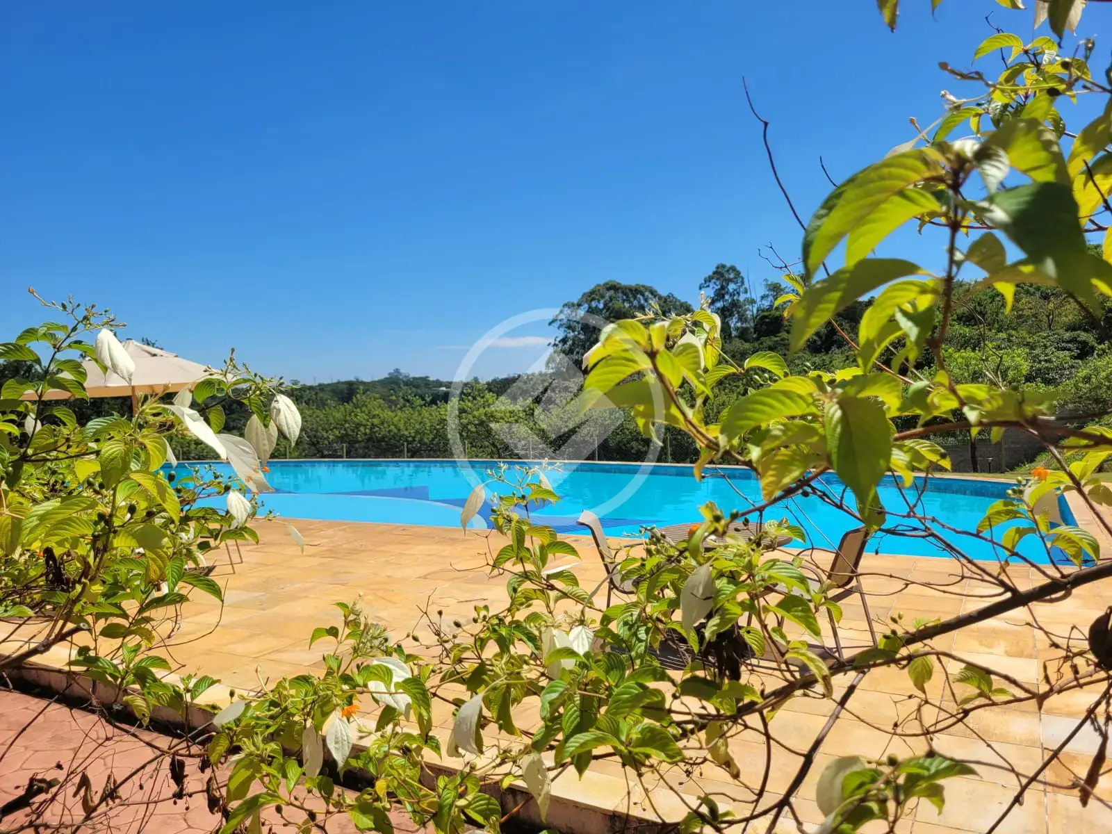 Imagem 6 - Terreno Condomínio em Monte Alegre, Vinhedo - SP