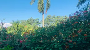 Imagem 3 - Casa em Caixa D´Água, Vinhedo - SP