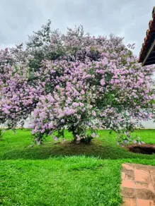 Casa Chácaras São Bento, Valinhos - SP — foto 2