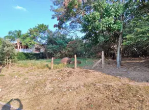 Imagem 2 - Terreno Condomínio em Parque dos Cafezais VI, Itupeva - SP