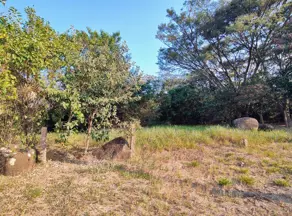 Imagem 3 - Terreno Condomínio em Parque dos Cafezais VI, Itupeva - SP