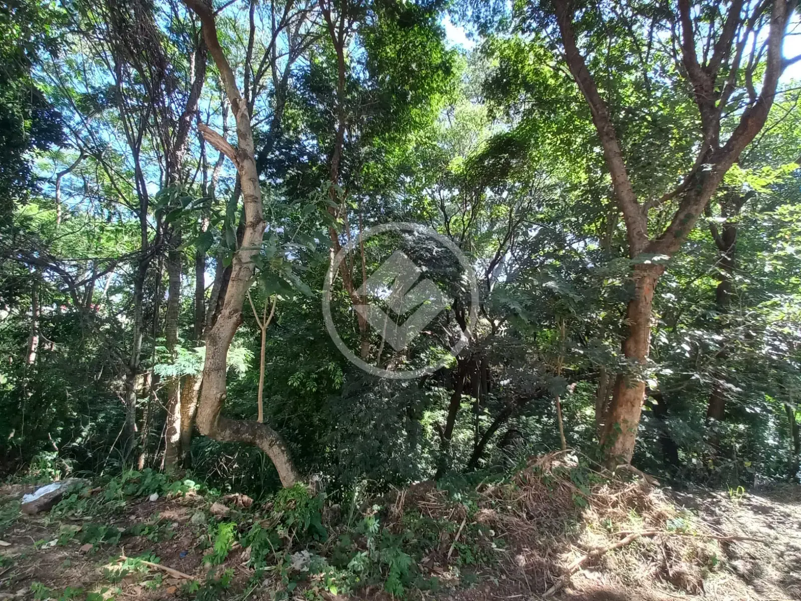 Image 19 - Terreno em Santa Rosa, Vinhedo - SP