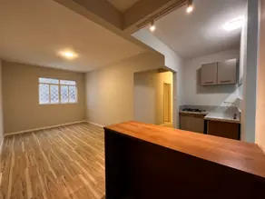Apartamento Jardim Proença, Campinas - SP — foto 1