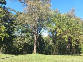 Imagem 4 - Terreno Condomínio em Condominio Terras de Santa Teresa, Itupeva - SP