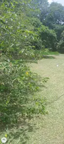 Imagem 3 - Terreno em Mombuca, Itatiba - SP