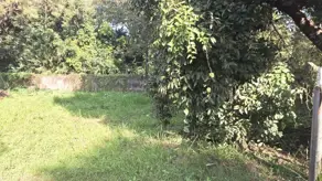Imagem 3 - Terreno em Chácaras São Bento, Valinhos - SP
