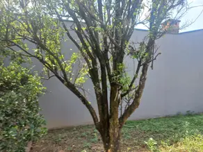 Imagem 4 - Terreno em Parque Nova Suíça, Valinhos - SP