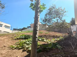 Imagem 5 - Terreno Condomínio em Villaggio Capríccio, Louveira - SP