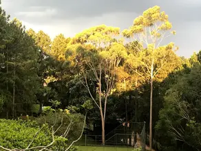 Imagem 2 - Casa Condomínio em Caixa D´Água, Vinhedo - SP