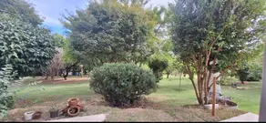 Imagem 3 - Chácara em Monterrey, Louveira - SP