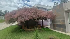 Imagem 2 - Casa Condomínio em Cachoeira, Vinhedo - SP