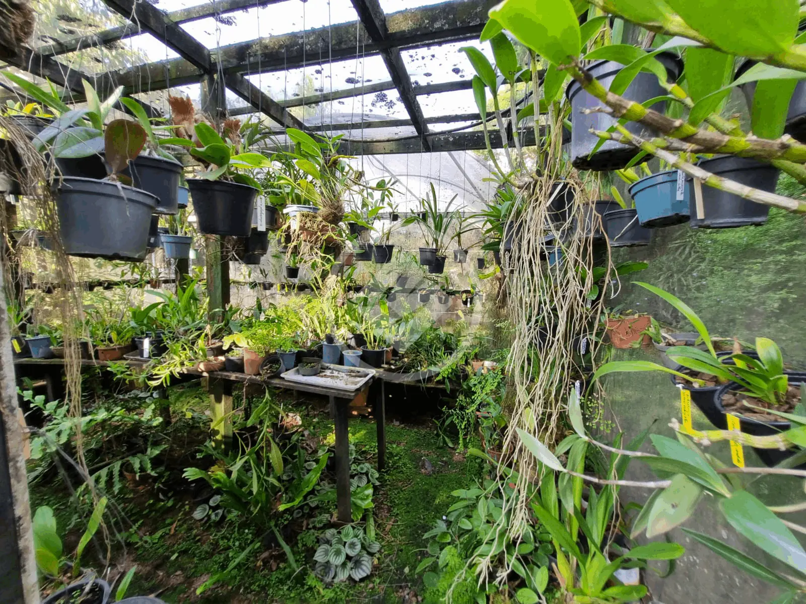 Imagem 3 - Casa Condomínio em Caixa D´Água, Vinhedo - SP