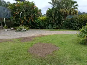 Imagem 5 - Chácara em Centro, Paty do Alferes - RJ