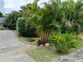 Imagem 6 - Chácara em Centro, Paty do Alferes - RJ