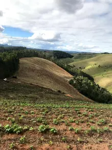Imagem 2 - Sítio em Aracê, Domingos Martins - ES