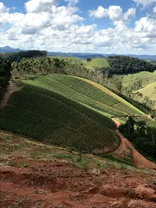 Imagem 4 - Sítio em Aracê, Domingos Martins - ES