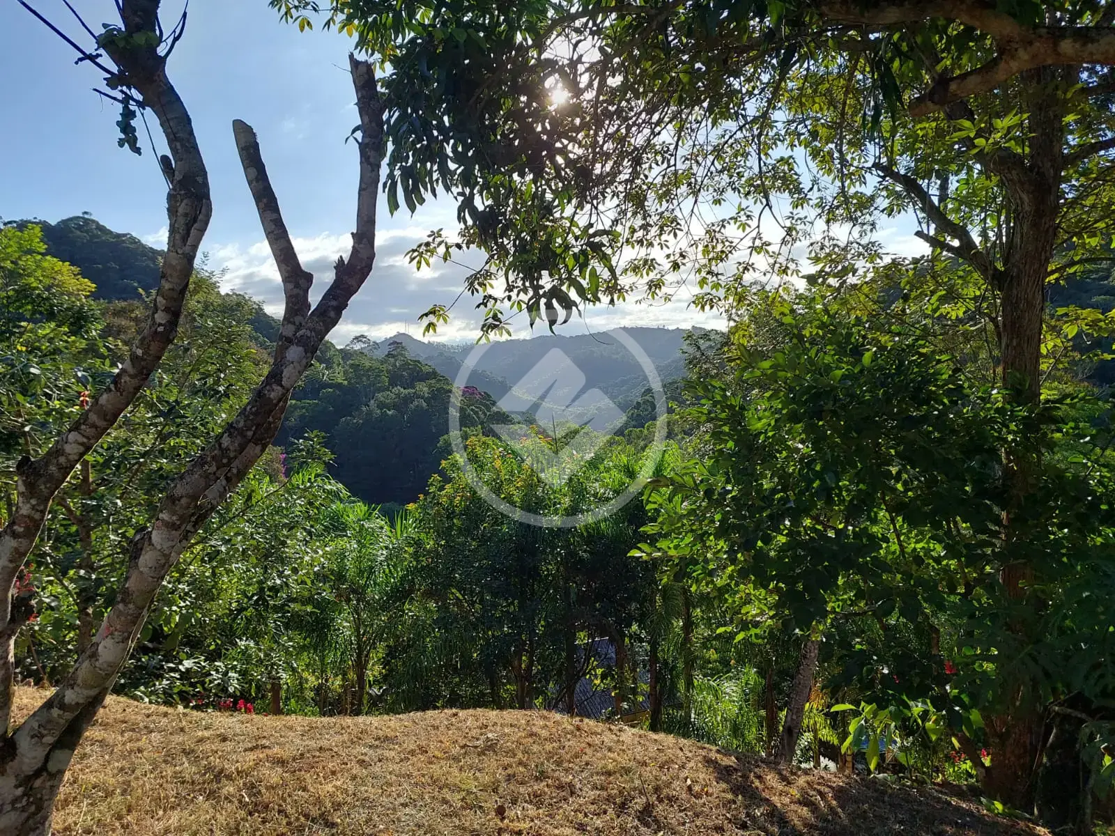 Imagem 1 - Terreno Condomínio em victor hugo, Domingos Martins - ES