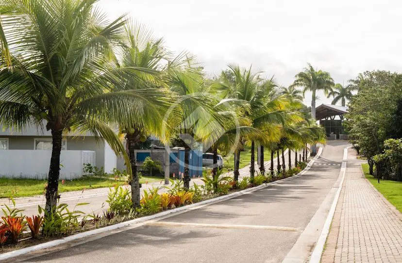 Imagem 6 - Terreno em Recanto da Sereia, Guarapari - ES