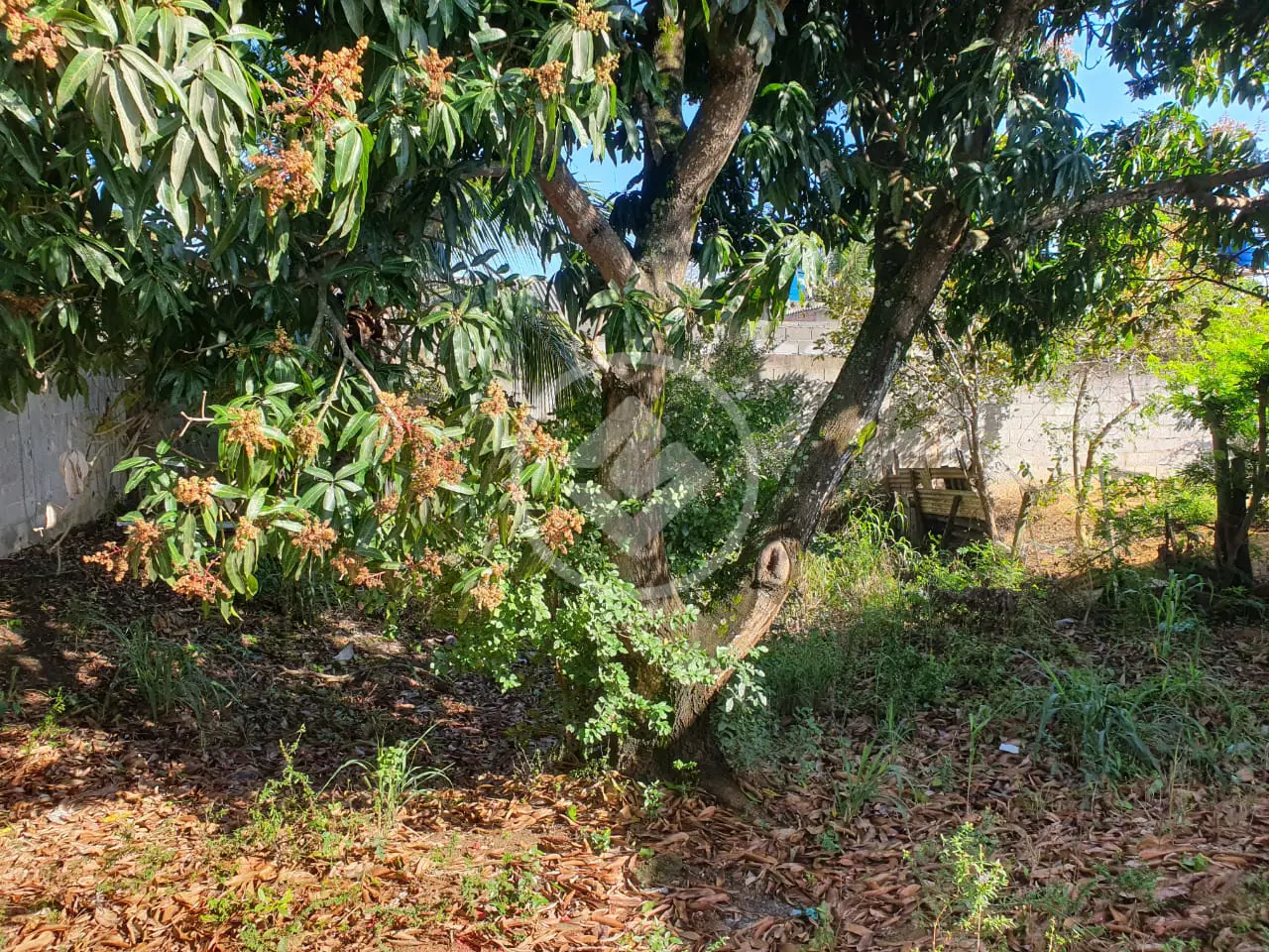 Imagem 3 - Terreno em Balneário Ponta da Fruta, Vila Velha - ES
