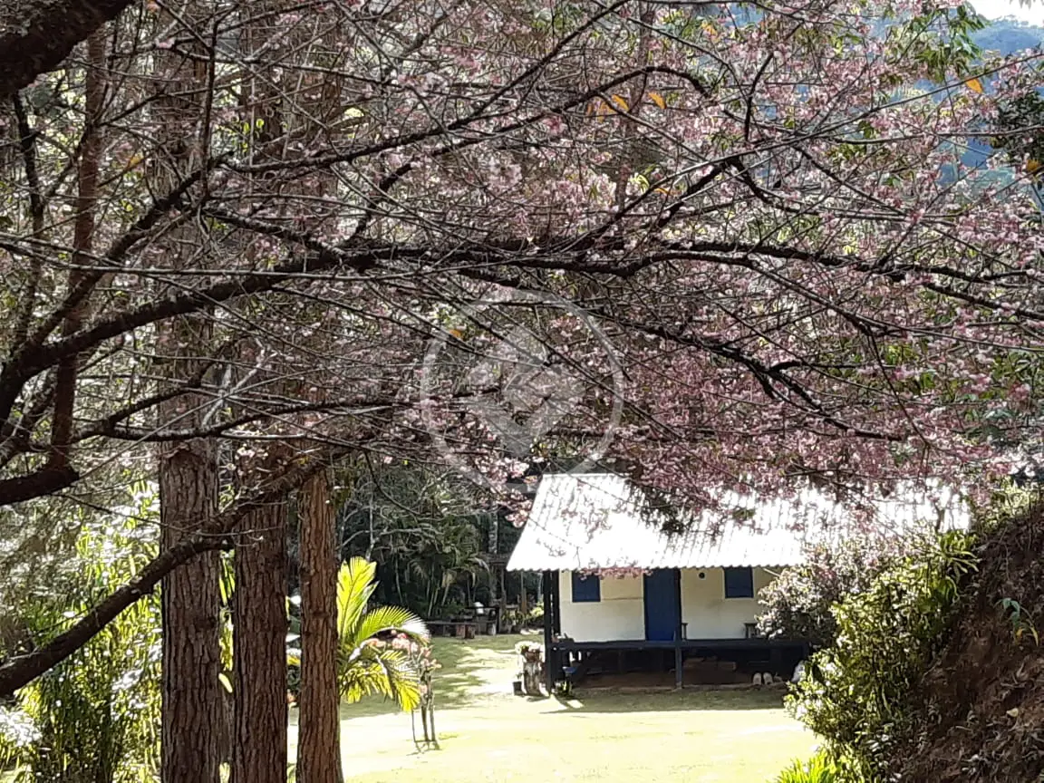 Imagem 1 - Sítio em Zona Rural, Alfredo Chaves - ES
