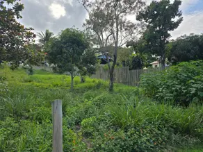 Imagem 2 - Terreno em Ponta da Fruta, Vila Velha - ES
