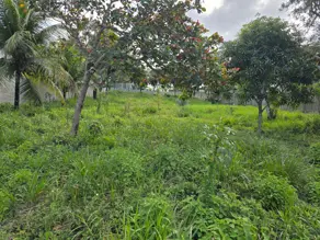 Imagem 4 - Terreno em Ponta da Fruta, Vila Velha - ES