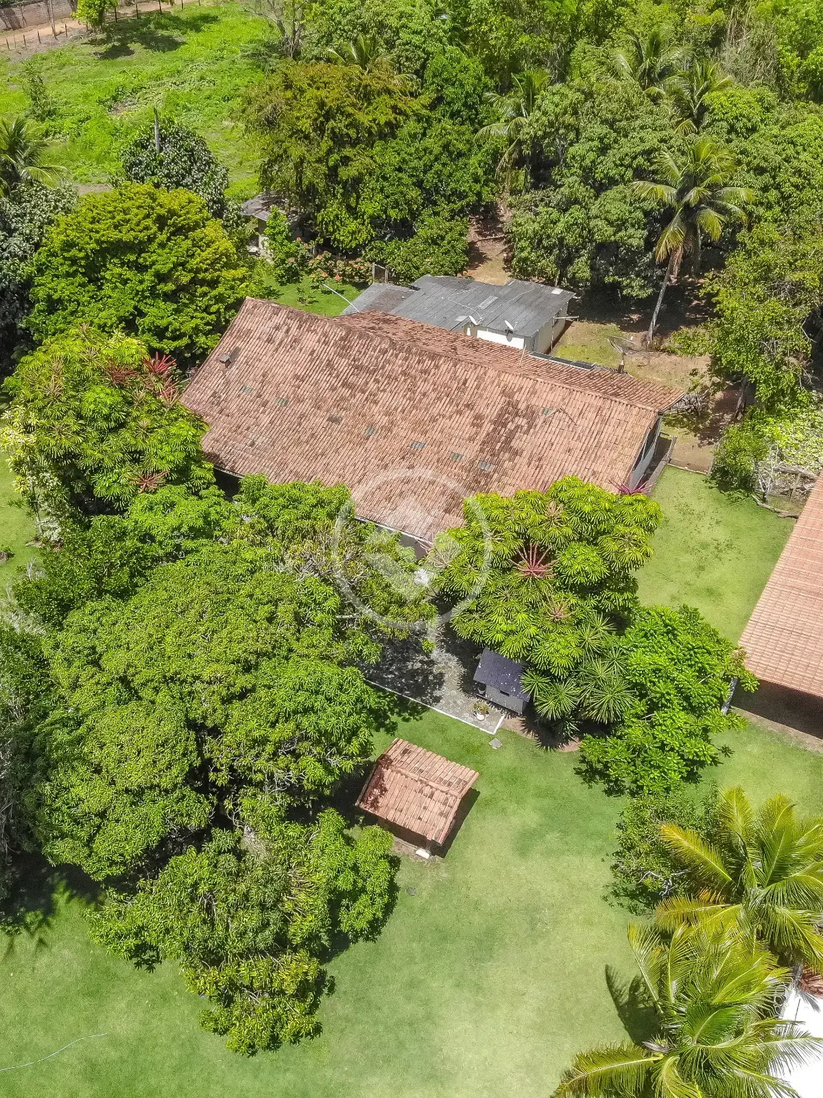Imagem 1 - Sítio em Área Rural de Aracruz, Aracruz - ES