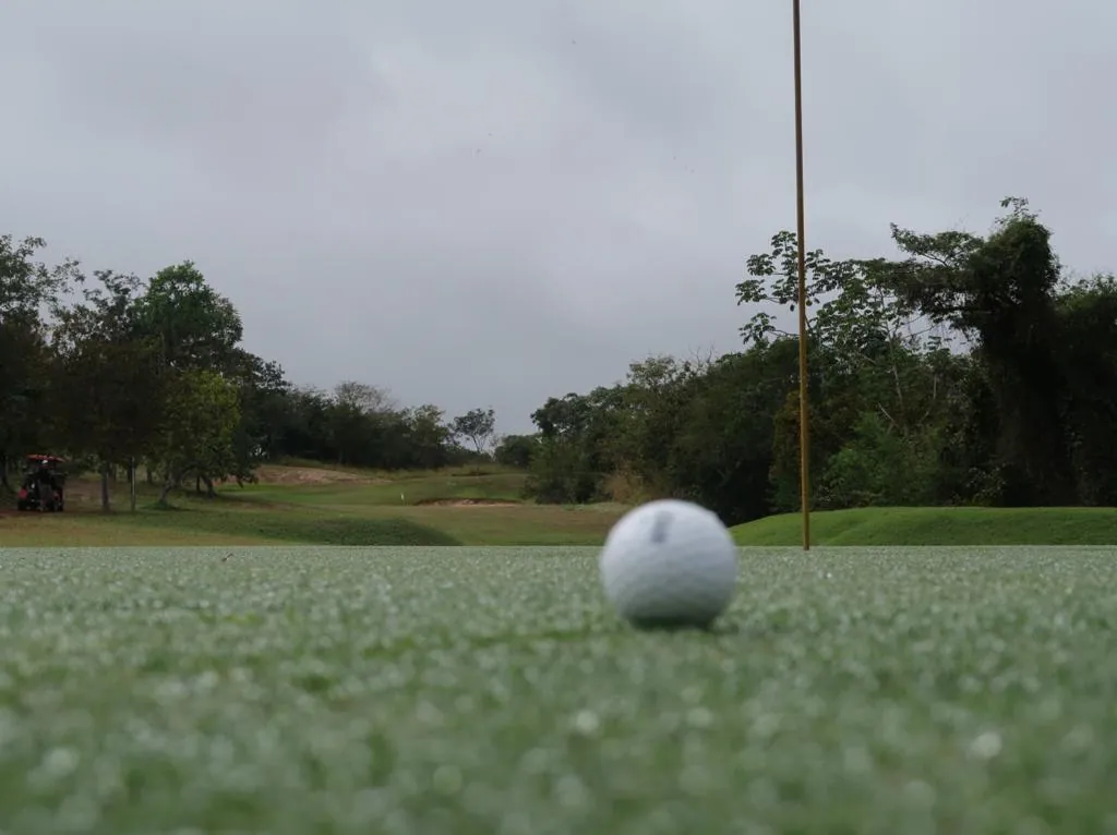 Associação Mato-grossense de Golfe