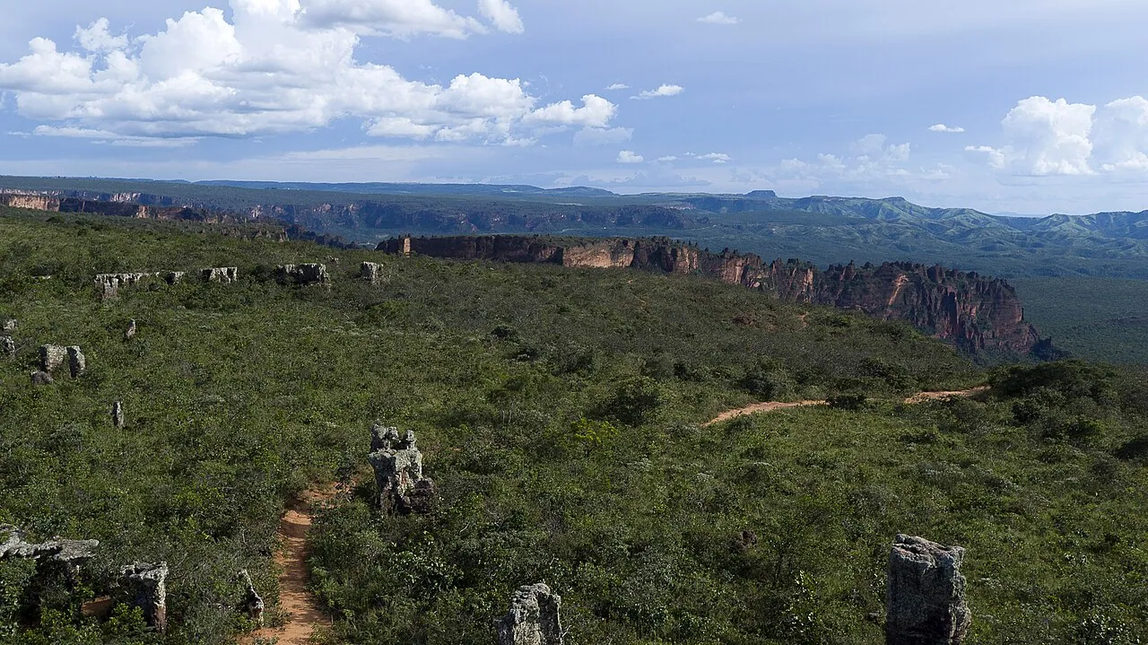 Passeios de helicoptero Cuiabá e Chapada