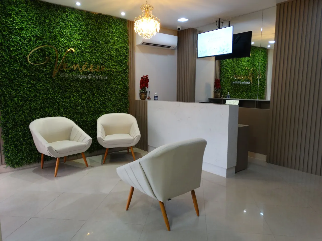 Venesse Odontologia e Estética · imagem 2